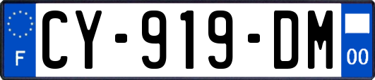 CY-919-DM