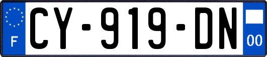 CY-919-DN