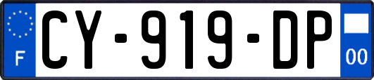 CY-919-DP