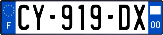 CY-919-DX