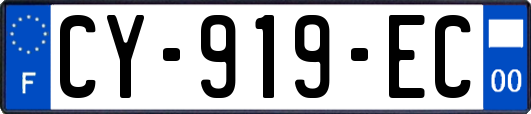 CY-919-EC