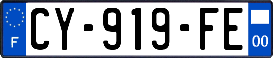 CY-919-FE