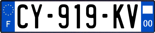 CY-919-KV