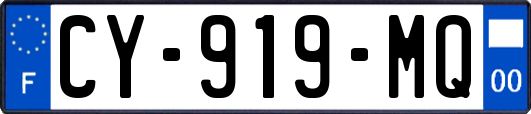 CY-919-MQ