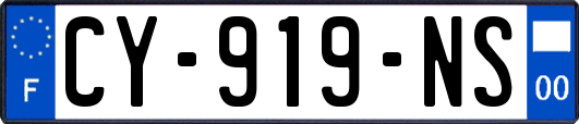 CY-919-NS