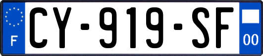 CY-919-SF