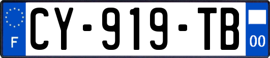 CY-919-TB