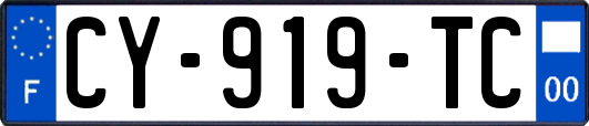 CY-919-TC