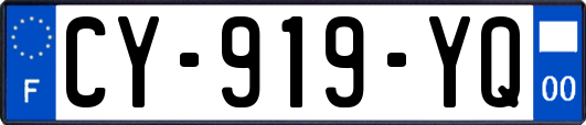 CY-919-YQ