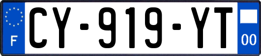 CY-919-YT