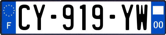 CY-919-YW