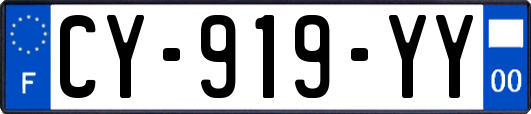 CY-919-YY