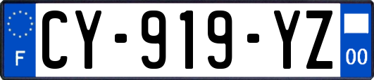 CY-919-YZ