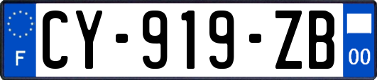 CY-919-ZB