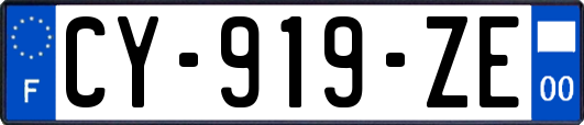 CY-919-ZE