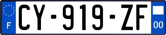CY-919-ZF