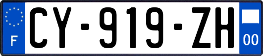 CY-919-ZH
