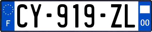 CY-919-ZL