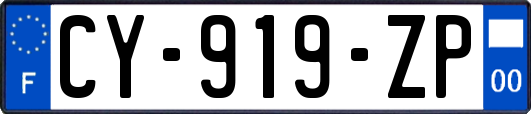 CY-919-ZP