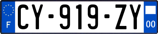 CY-919-ZY