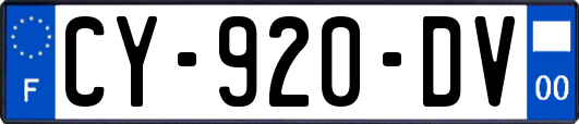 CY-920-DV