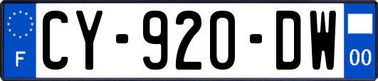 CY-920-DW