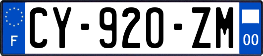 CY-920-ZM