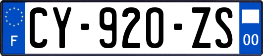 CY-920-ZS