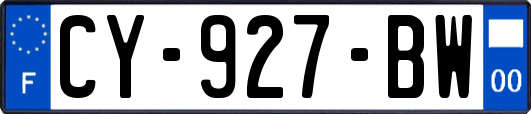 CY-927-BW