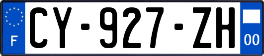 CY-927-ZH