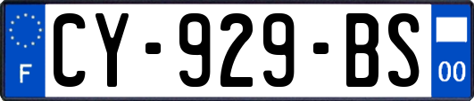 CY-929-BS