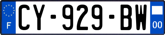 CY-929-BW