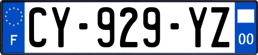 CY-929-YZ