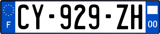 CY-929-ZH