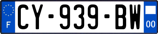 CY-939-BW