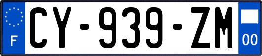CY-939-ZM