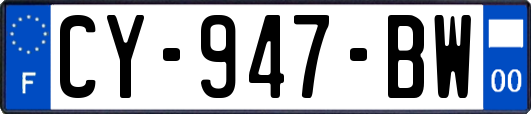 CY-947-BW