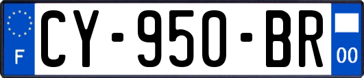 CY-950-BR