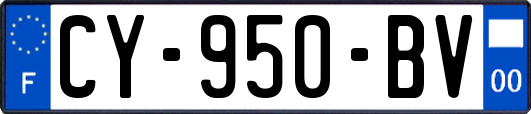CY-950-BV