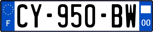 CY-950-BW