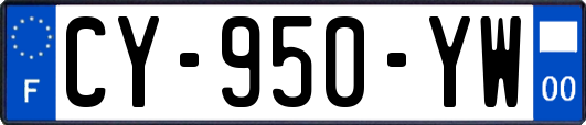 CY-950-YW