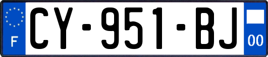 CY-951-BJ