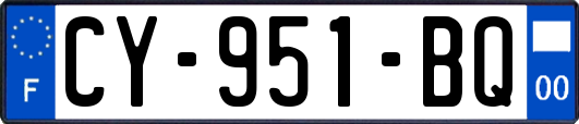CY-951-BQ