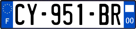 CY-951-BR