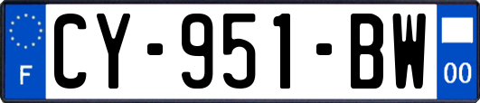 CY-951-BW