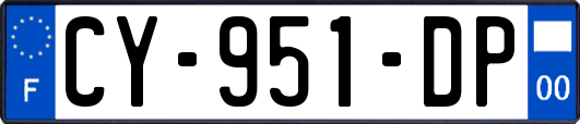 CY-951-DP