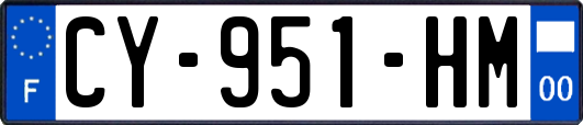 CY-951-HM