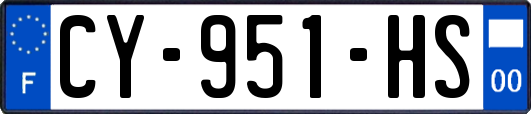 CY-951-HS