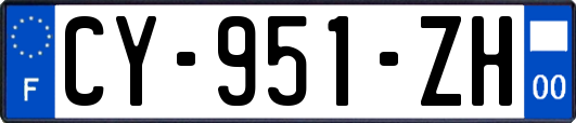CY-951-ZH