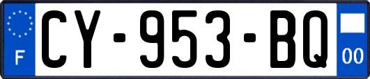 CY-953-BQ